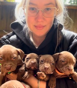 Zoopsychologist Veronika Voitovska, puppies for sale, dogs consultations