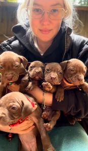 Zoopsychology Veronika Voitovska, puppies for sale, cynology