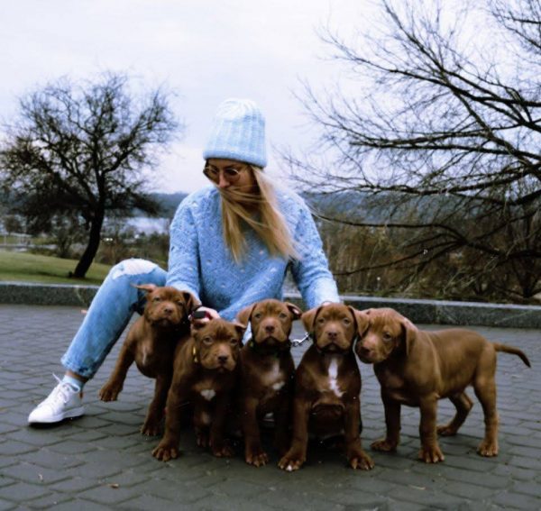 Dogs consultant Veronika Voitovska zoopsychology cynology